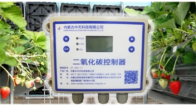 中國北方CO?新技術(shù)，將促進(jìn)農作物光合作用和光合產(chǎn)物的生成