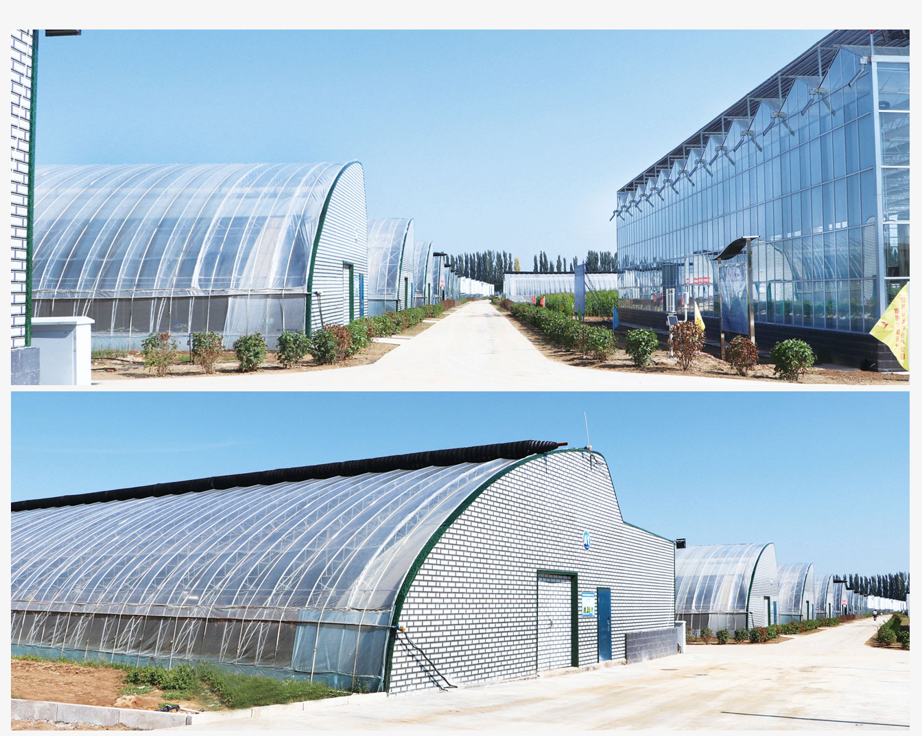 準格爾旗現代智慧設施農業(yè)產(chǎn)業(yè)園_07.jpg