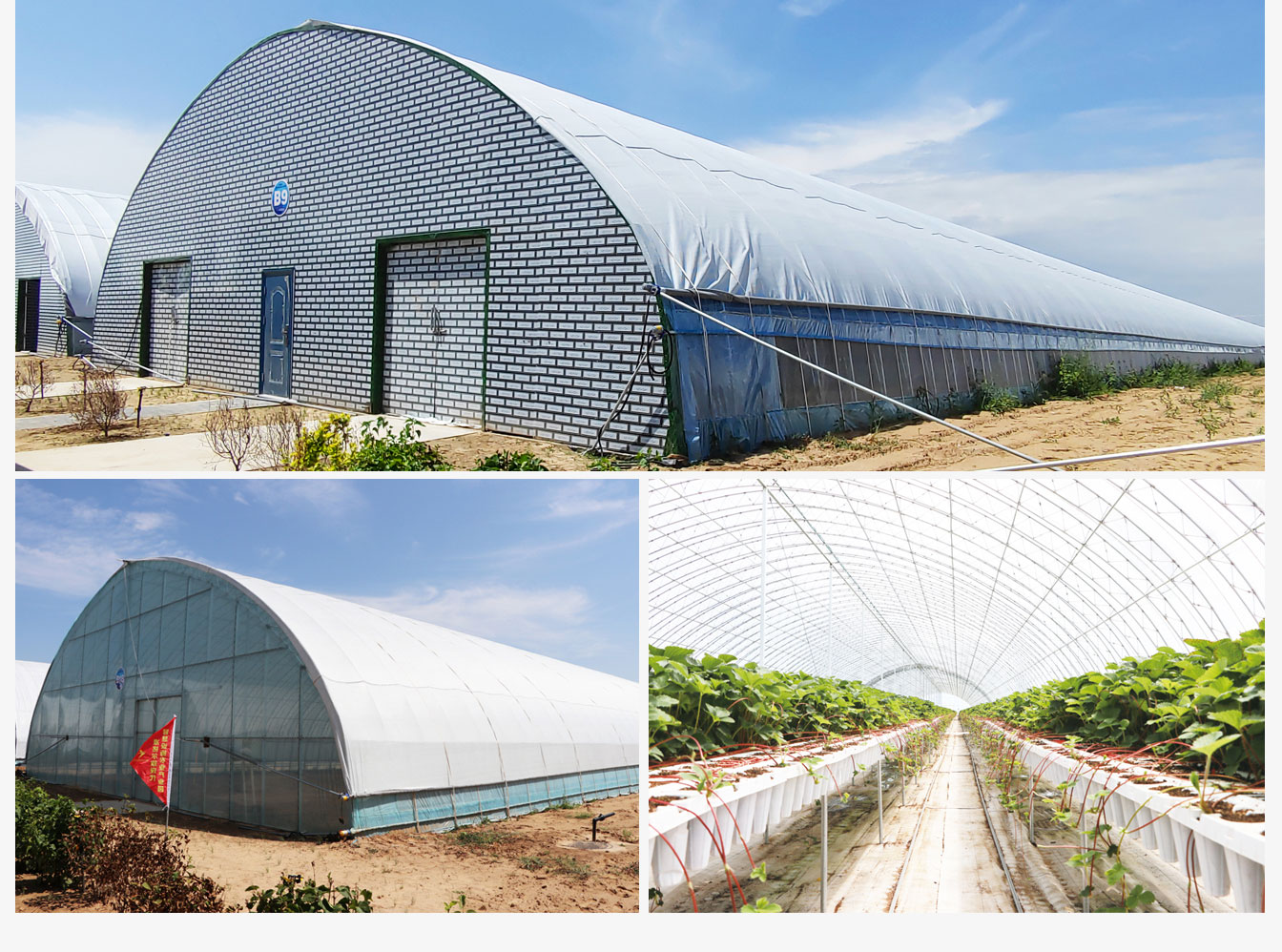 準格爾旗現代智慧設施農業(yè)產(chǎn)業(yè)園_08.jpg