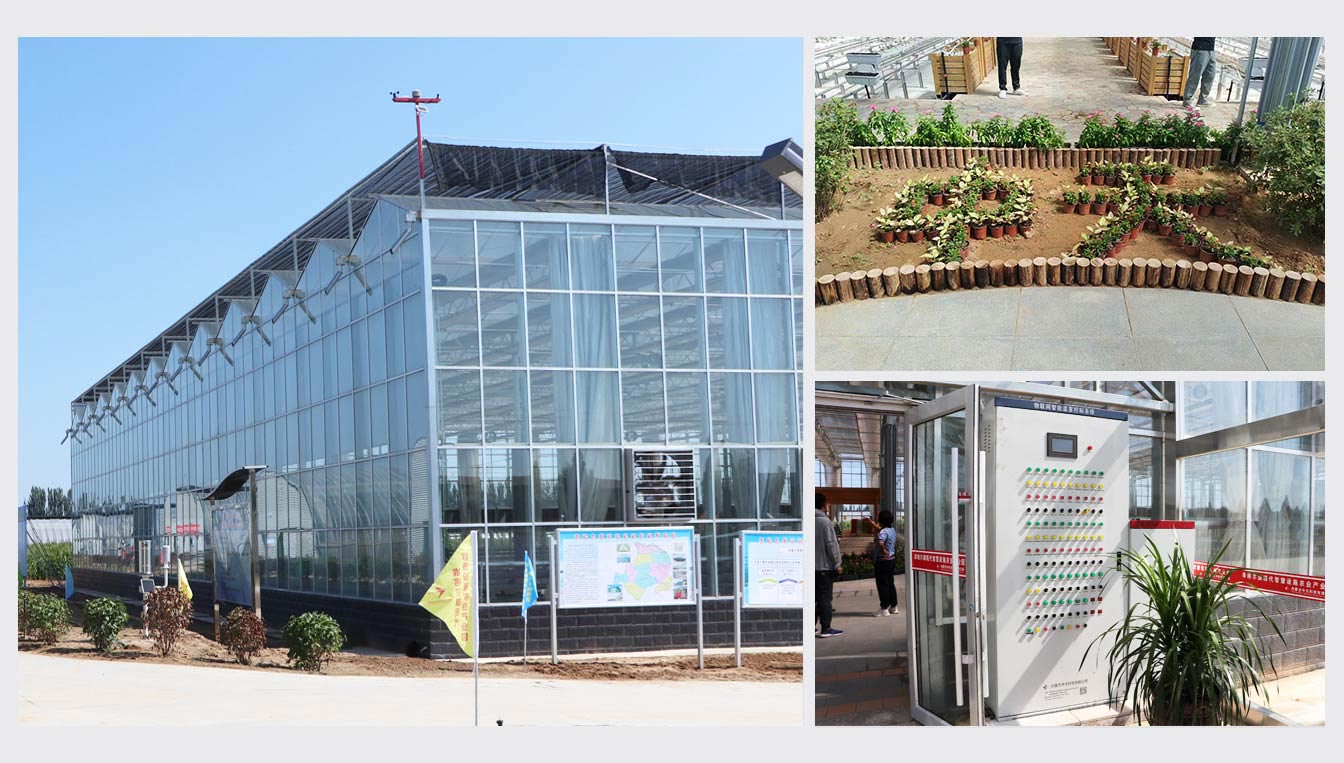 準格爾旗現代智慧設施農業(yè)產(chǎn)業(yè)園_06.jpg