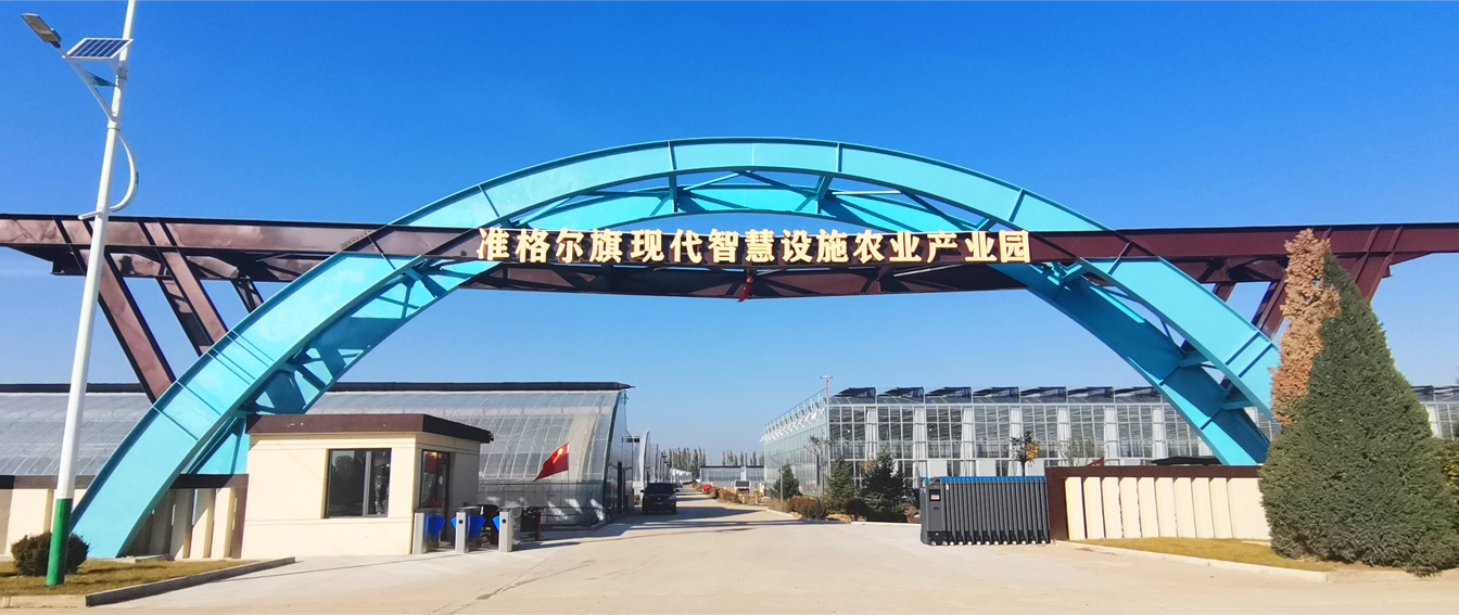 準格爾旗現代智慧設施農業(yè)產(chǎn)業(yè)園_03.jpg