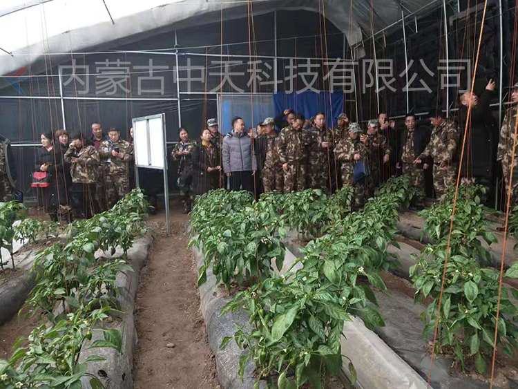 中國敕勒川現代農業(yè)博覽園