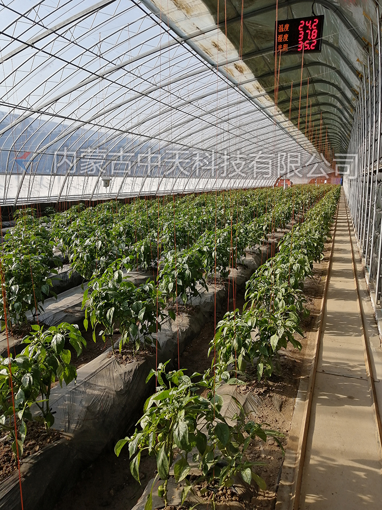 中國敕勒川現代農業(yè)博覽園