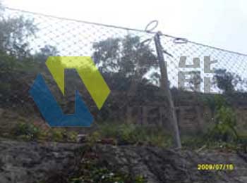 RX-050�ͱ��ӷ��o�W(w��ng)